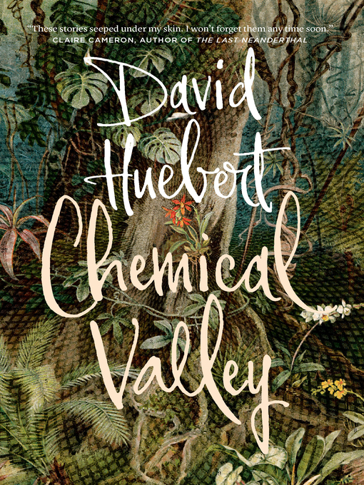 Title details for Chemical Valley by David Huebert - Available